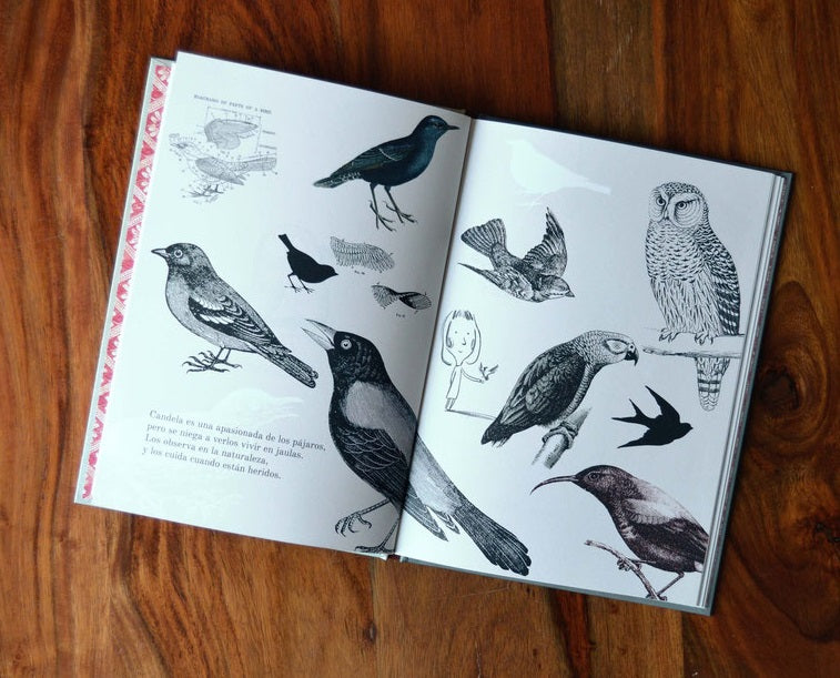 El día en que me convertí en pájaro El día en que me convertí en pájaro